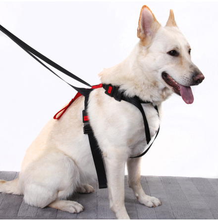 Artfex S�kerhetsb�lte till Hund - Small
